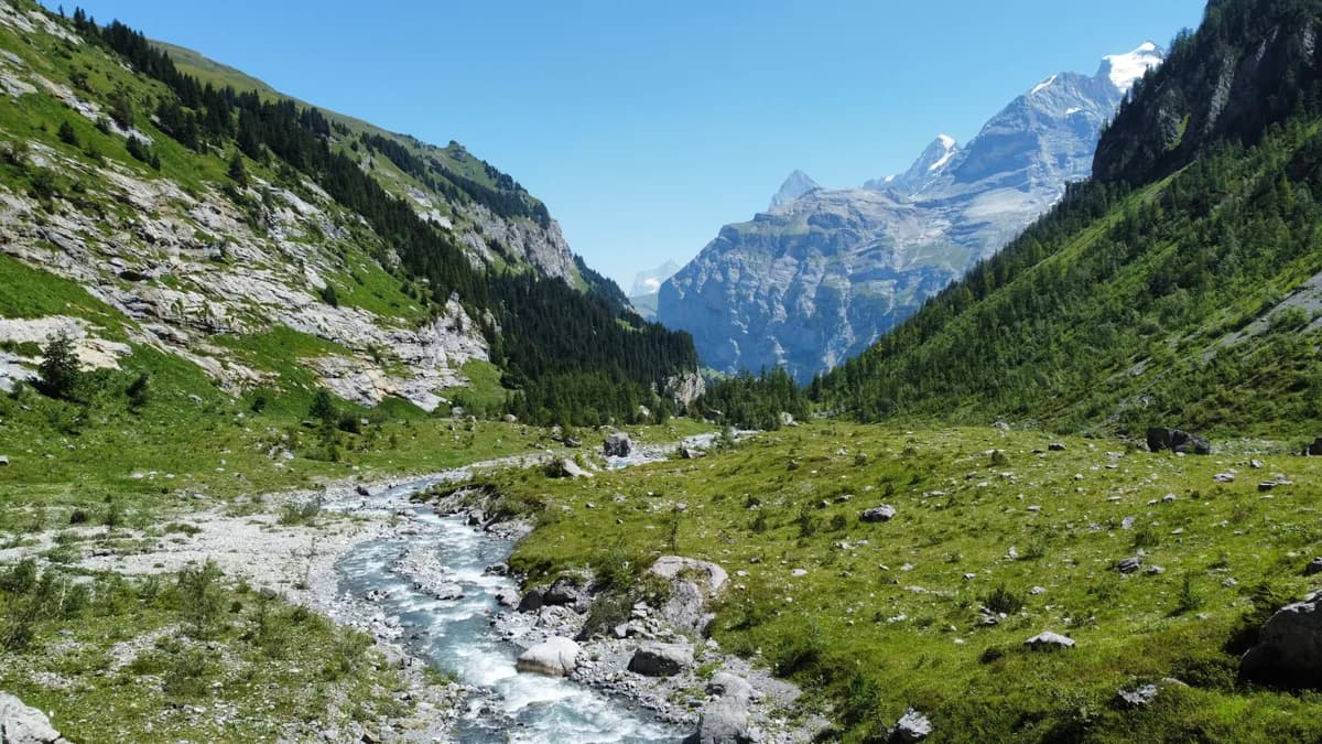 A river running through a green mountain valley beneath snow-covered peaks in Gimmelwald.